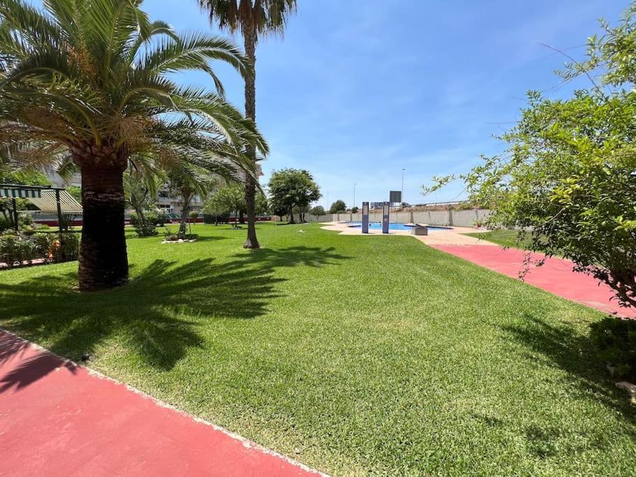 Nice And Central Apartment Τορεβιέχα Εξωτερικό φωτογραφία